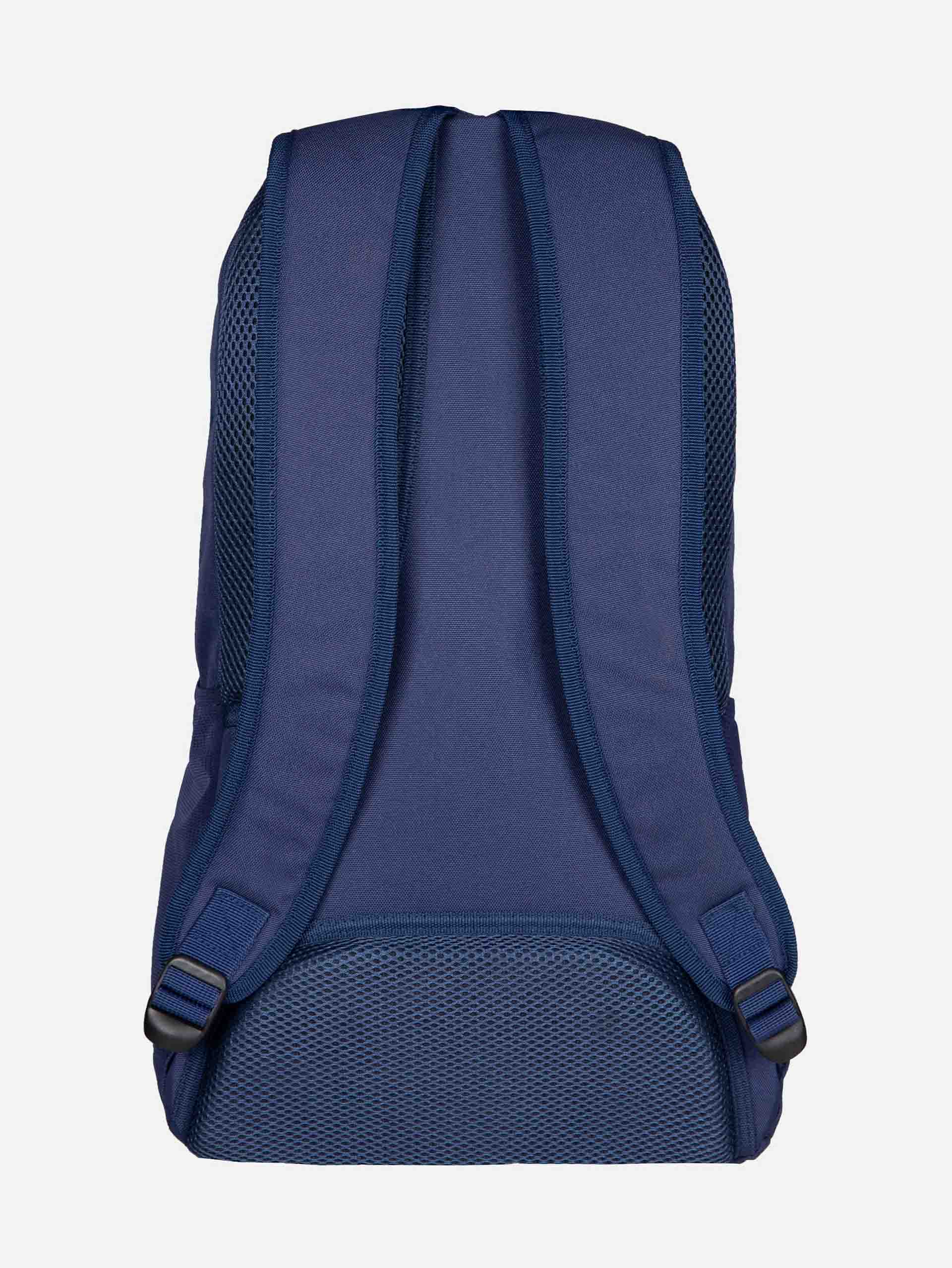 DEEP BLUE CORAL